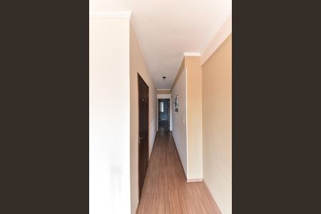 Corredor de Acesso de apartamento para alugar com 2 quartos, 62m² em Vila Jerusalem, São Bernardo do Campo