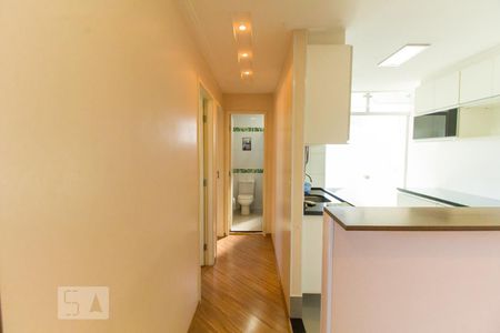 Corredor de apartamento para alugar com 2 quartos, 49m² em Vila Arcádia, São Paulo