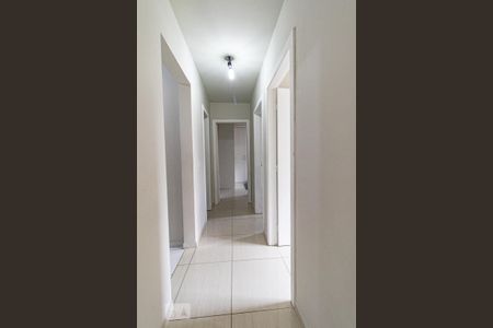 Corredor de apartamento para alugar com 3 quartos, 74m² em Uberaba, Curitiba