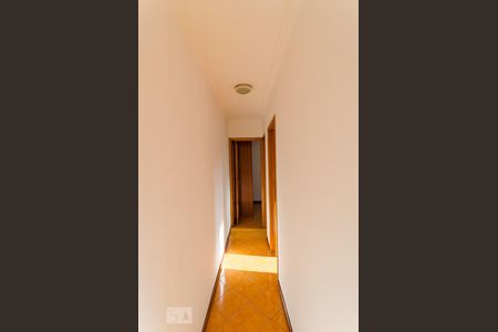 Corredor de apartamento para alugar com 2 quartos, 46m² em Vila do Encontro, São Paulo
