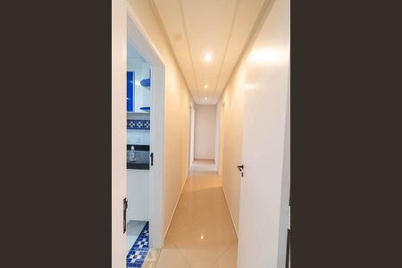Corredor de apartamento para alugar com 3 quartos, 82m² em Vila Principe de Gales, Santo André