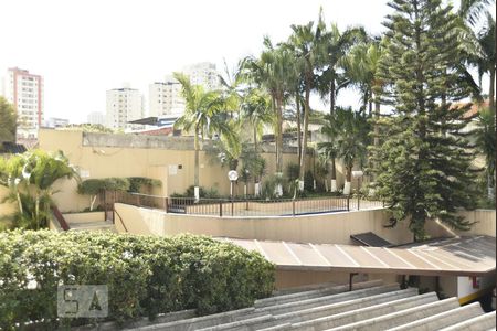 Vista da varanda - piscina de apartamento à venda com 3 quartos, 61m² em Vila Formosa, São Paulo