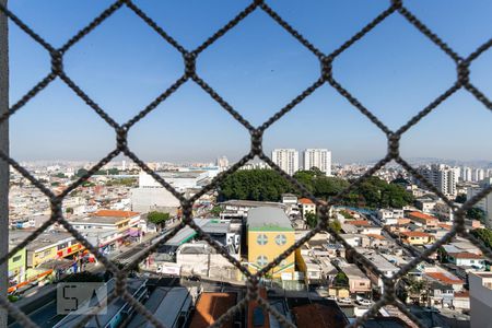 Vista do Quarto 1 de apartamento para alugar com 2 quartos, 45m² em Vila Nova Cachoeirinha, São Paulo