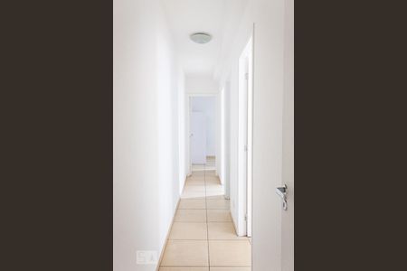 Corredor de apartamento para alugar com 3 quartos, 60m² em Vila Butantã, São Paulo