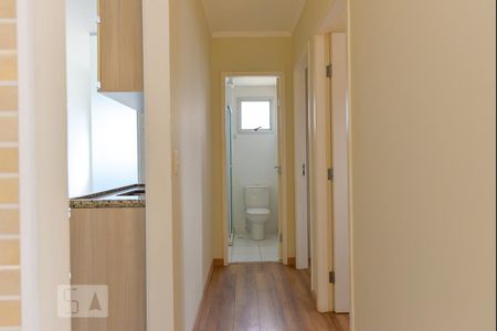 Corredor de apartamento para alugar com 2 quartos, 49m² em Vila Mimosa, Campinas