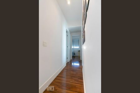 Corredor de apartamento para alugar com 3 quartos, 89m² em Vila Gomes Cardim, São Paulo