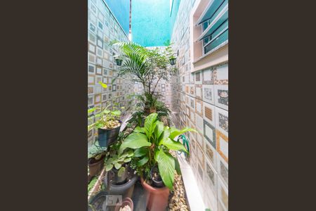 Jardim de Inverno de casa à venda com 3 quartos, 178m² em Parque Marajoara, Santo André