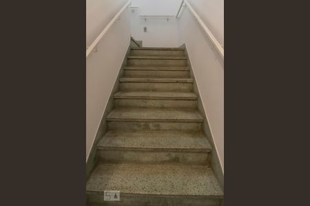 Escadas de casa à venda com 3 quartos, 345m² em Casa Branca, Santo André