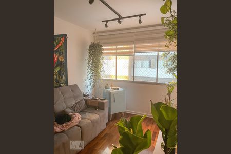 Sala de apartamento para alugar com 3 quartos, 78m² em Vila Gumercindo, São Paulo