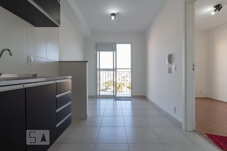 Sala / Cozinha / Lavanderia de apartamento para alugar com 1 quarto, 28m² em Vila Palmeiras, São Paulo