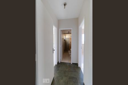 Corredor de apartamento para alugar com 2 quartos, 66m² em Cambuí, Campinas