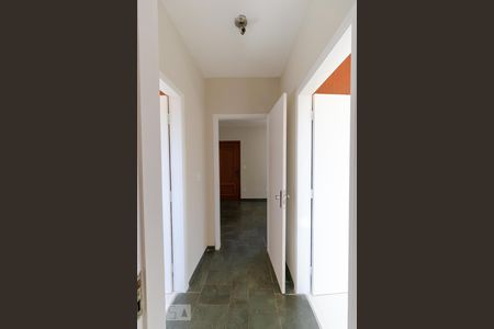 Corredor de apartamento para alugar com 2 quartos, 66m² em Cambuí, Campinas