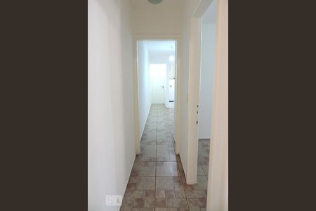 Sala - Corredor de apartamento para alugar com 3 quartos, 66m² em Trindade, Florianópolis