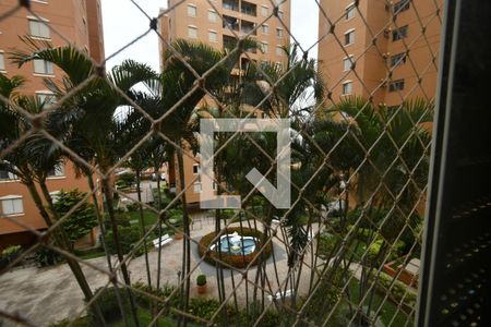 Vista do Quarto 1 de apartamento à venda com 3 quartos, 70m² em Chácara da Barra, Campinas