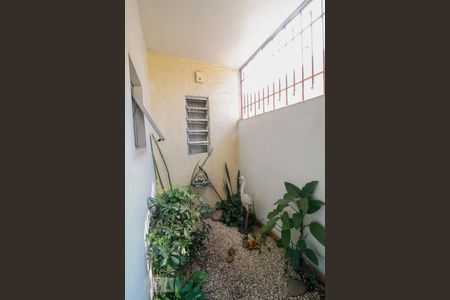 Jardim de Inverno de casa à venda com 3 quartos, 170m² em Vila Clementino, São Paulo