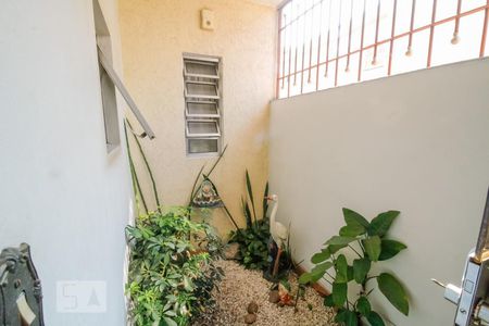 Jardim de Inverno de casa à venda com 3 quartos, 170m² em Vila Clementino, São Paulo