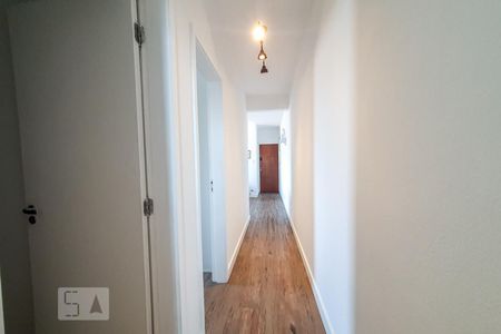 Corredor de apartamento para alugar com 2 quartos, 67m² em Alto da Lapa, São Paulo