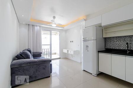 Sala de apartamento para alugar com 2 quartos, 48m² em Cambuci, São Paulo