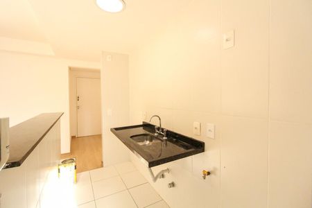 Cozinha de apartamento para alugar com 1 quarto, 45m² em Vila Paulicéia, São Paulo