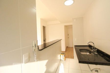 Cozinha de apartamento para alugar com 1 quarto, 45m² em Vila Paulicéia, São Paulo