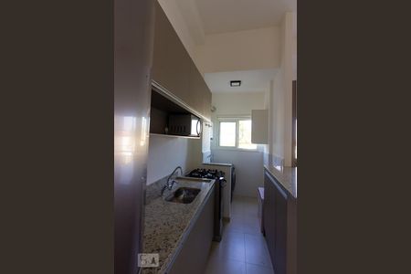 Cozinha Integrada de apartamento para alugar com 1 quarto, 37m² em Granja Viana, Cotia