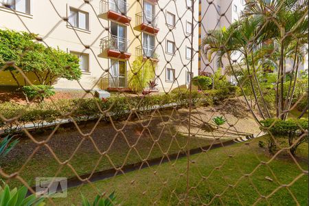 Varanda de apartamento para alugar com 3 quartos, 72m² em Jardim dos Oliveiras, Campinas