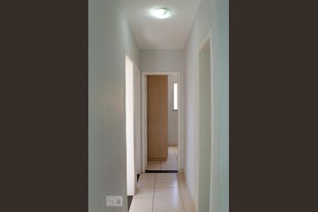 Corredor de apartamento à venda com 3 quartos, 70m² em Buritis, Belo Horizonte