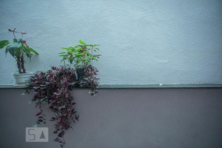 Vista de casa para alugar com 3 quartos, 167m² em Planalto Paulista, São Paulo