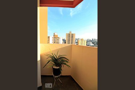 Varanda do Quarto Suíte de apartamento para alugar com 3 quartos, 137m² em Parque das Nações, Santo André