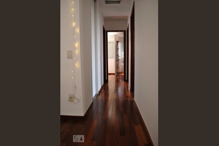 Sala - vista corredor acesso aos quartos de apartamento à venda com 3 quartos, 80m² em Vila Monumento, São Paulo