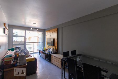 Sala de apartamento para alugar com 2 quartos, 69m² em Laranjeiras, Rio de Janeiro