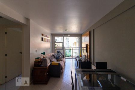 Sala de apartamento para alugar com 2 quartos, 69m² em Laranjeiras, Rio de Janeiro