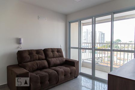 Studio de apartamento para alugar com 1 quarto, 38m² em Vila Guarani (z Sul), São Paulo