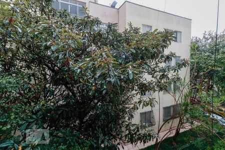 Sala de apartamento para alugar com 3 quartos, 62m² em Alto de Pinheiros, São Paulo