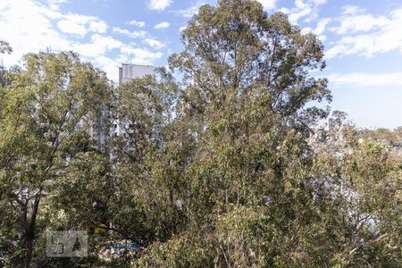 Vista da Varanda da Sala de apartamento para alugar com 2 quartos, 54m² em Jardim Santa Emília, São Paulo