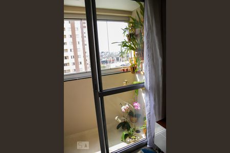 Sacada de apartamento à venda com 2 quartos, 64m² em Vila Cunha Bueno, São Paulo