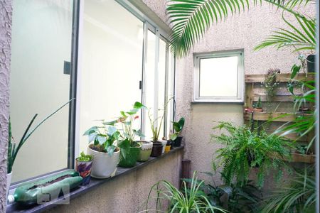 Jardim de Inverno de casa à venda com 3 quartos, 158m² em Vila Nova Savoia, São Paulo