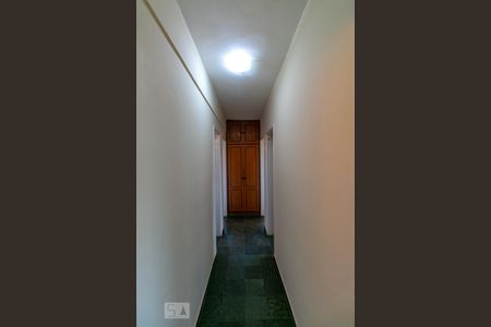 Corredor de apartamento à venda com 3 quartos, 83m² em Vila Cloris, Belo Horizonte