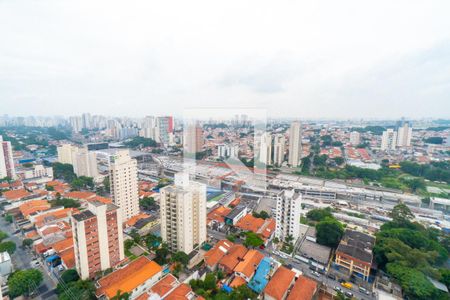 Vista da Sacada de apartamento para alugar com 3 quartos, 83m² em Vila Alexandria, São Paulo