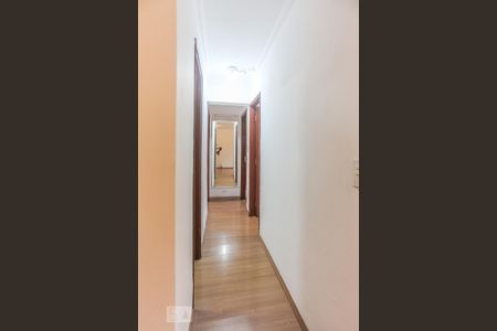 Corredor de apartamento à venda com 3 quartos, 65m² em Vila Butantã, São Paulo