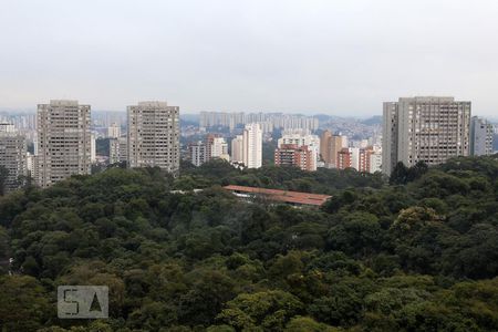 Vista de apartamento à venda com 3 quartos, 520m² em Vila Andrade, São Paulo