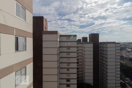 Sala - vista de apartamento para alugar com 2 quartos, 55m² em Jardim Íris, São Paulo