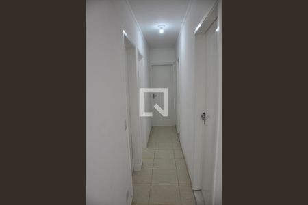 Corredor Quartos de apartamento para alugar com 3 quartos, 74m² em Vila Amélia, São Paulo