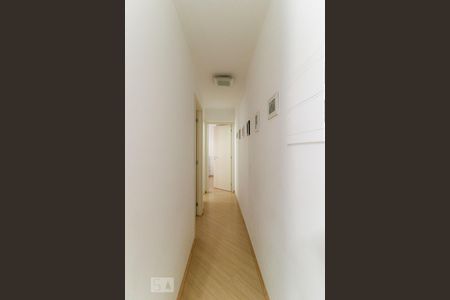 Corredor de apartamento para alugar com 2 quartos, 65m² em Bela Vista, São Paulo