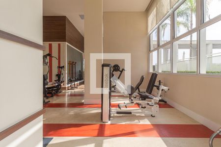 Apartamento para alugar com 69m², 2 quartos e 1 vaga Apartamento para alugar com 69m², 2 quartos e 1 vagaÁrea comum - Academia