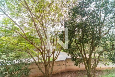 Vista da Sala de apartamento para alugar com 2 quartos, 50m² em Cidade São Jorge, Santo André