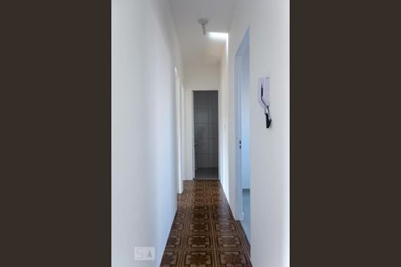 Corredor de apartamento para alugar com 2 quartos, 54m² em Santa Terezinha, São Bernardo do Campo