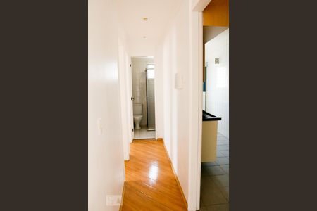 Corredor de apartamento para alugar com 2 quartos, 55m² em Vila Arriete, São Paulo