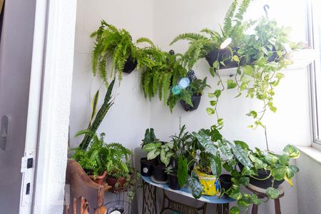 Varanda de apartamento à venda com 3 quartos, 70m² em Vila Paquetá, Belo Horizonte