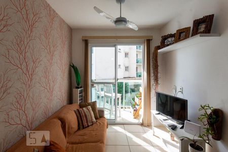 Sala de apartamento para alugar com 2 quartos, 55m² em São Cristóvão, Rio de Janeiro